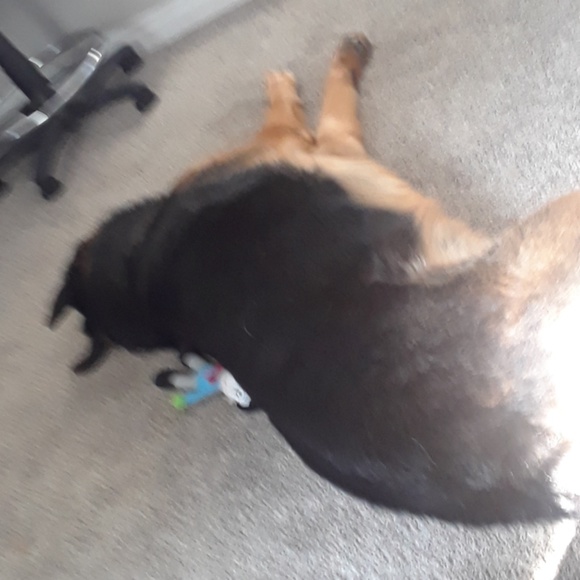 Meet your Posher, James - Picture 1 of 1